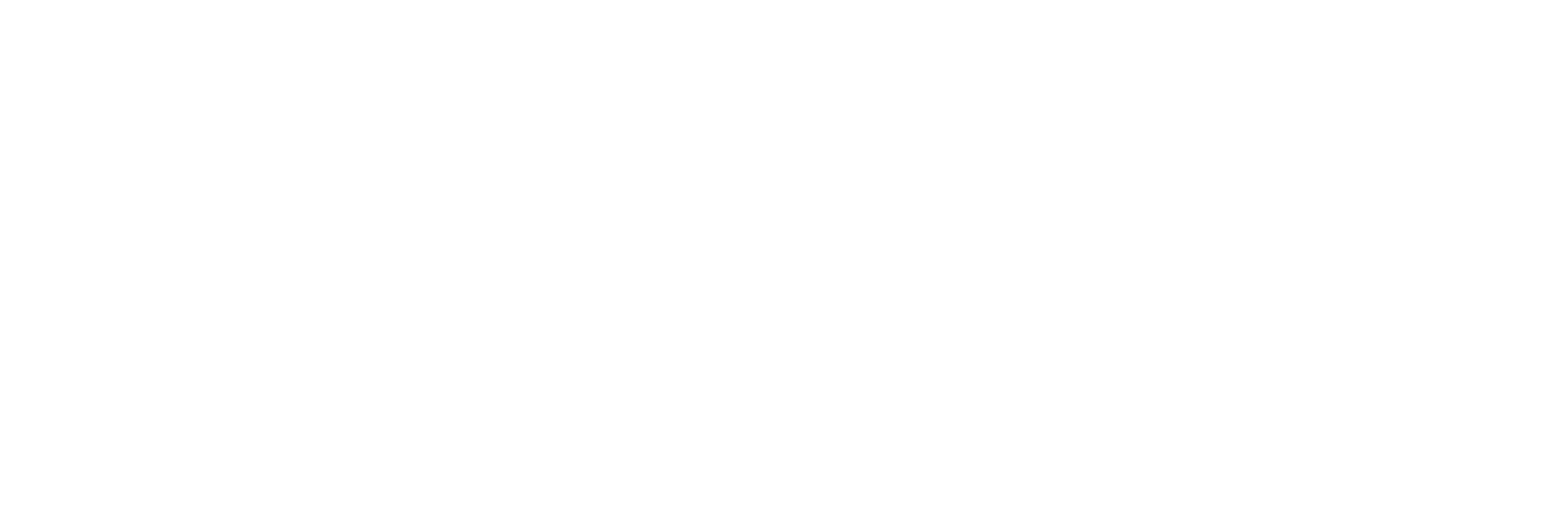White Logo EPP